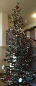 Silvertip Christmas Trees