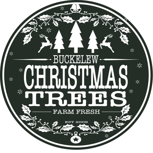 Buckelew Christmas Trees 500x500