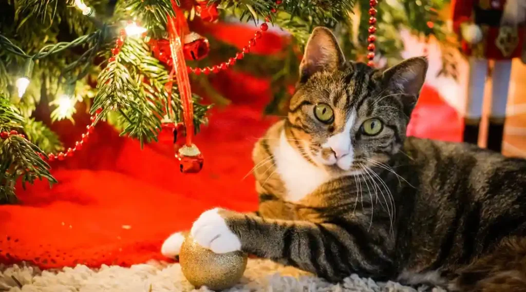 Cat Safety Christmas Tree