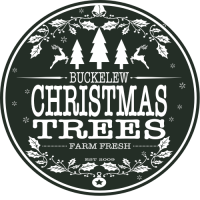 Buckelew Christmas Trees 500x500